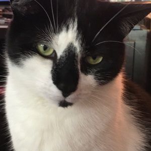 Meet your Posher, Amy